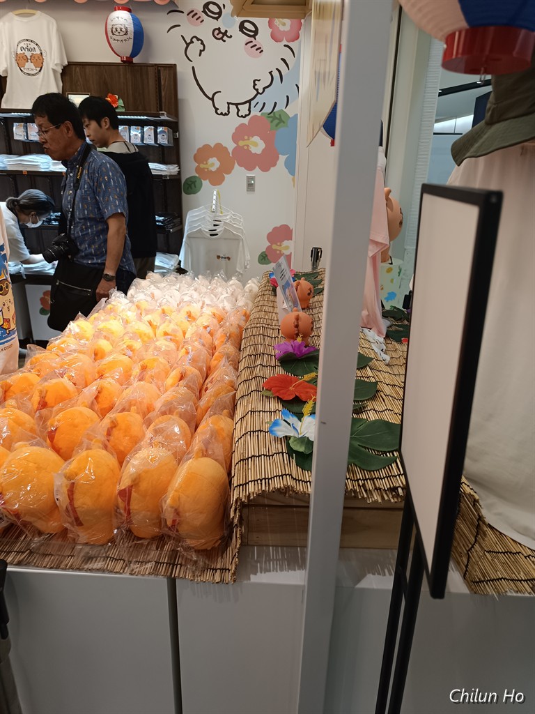 ほじょ犬専用トイレ